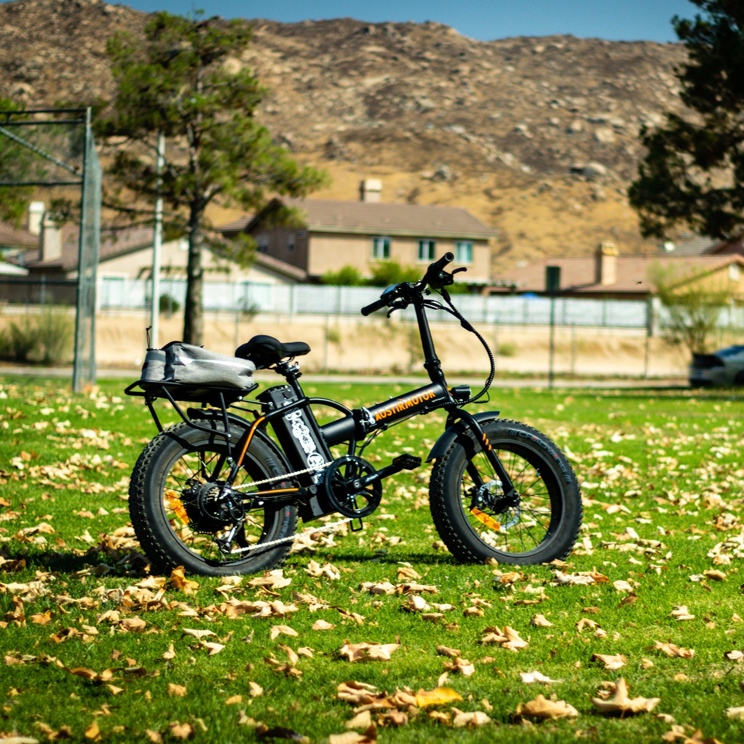 Electric Bike Fat Tire With Removable Lithium Battery for Adults