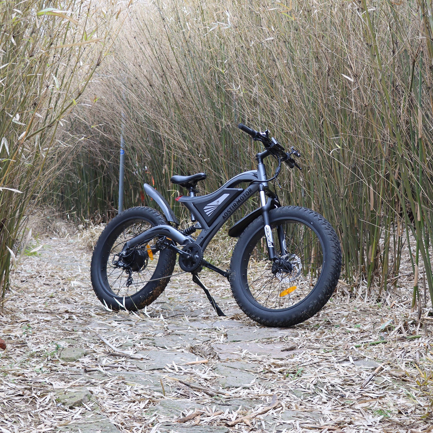 Electric Bike Fat Tire With Removable Lithium Battery for Adults