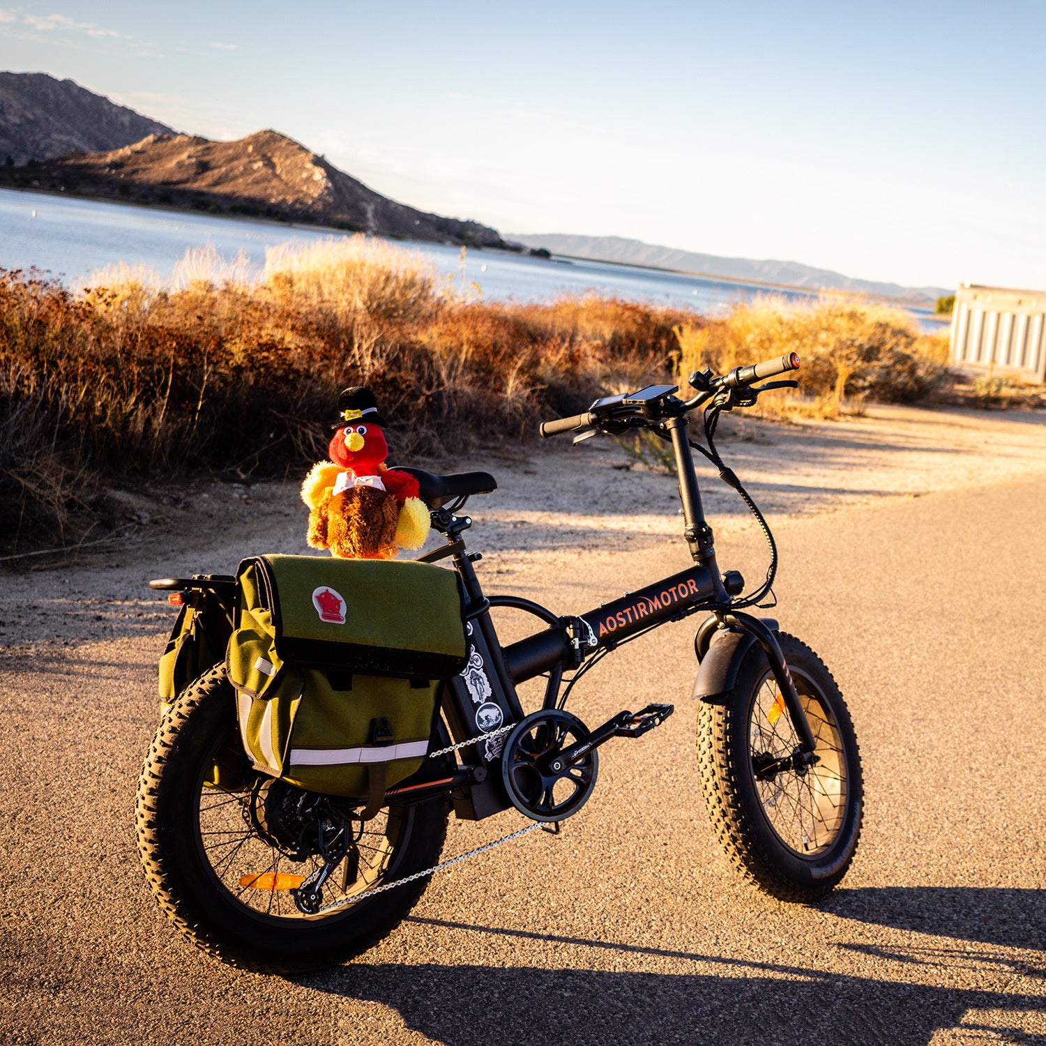 Electric Bike Fat Tire With Removable Lithium Battery for Adults