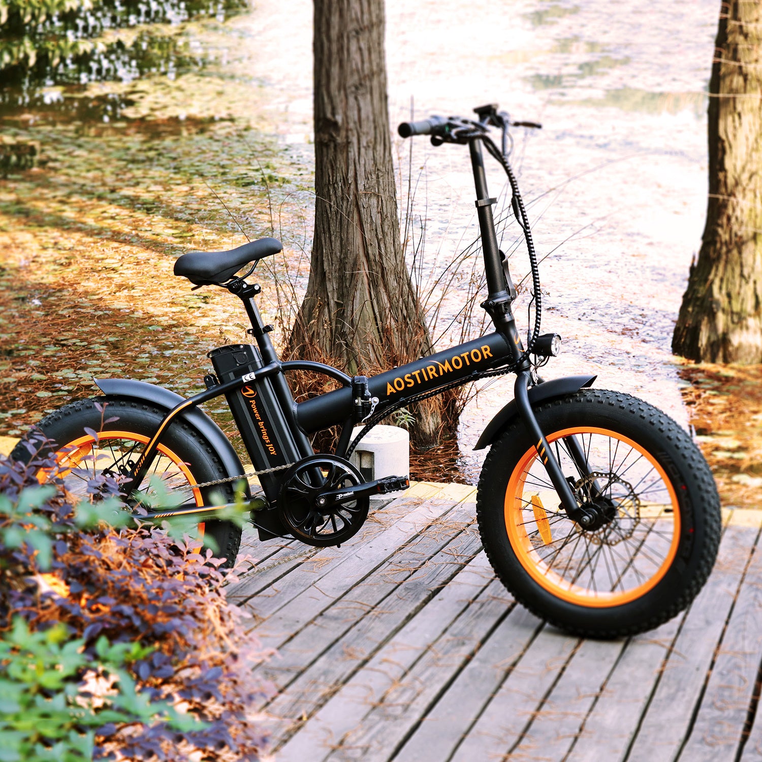 Electric Bike Fat Tire With Removable Lithium Battery for Adults