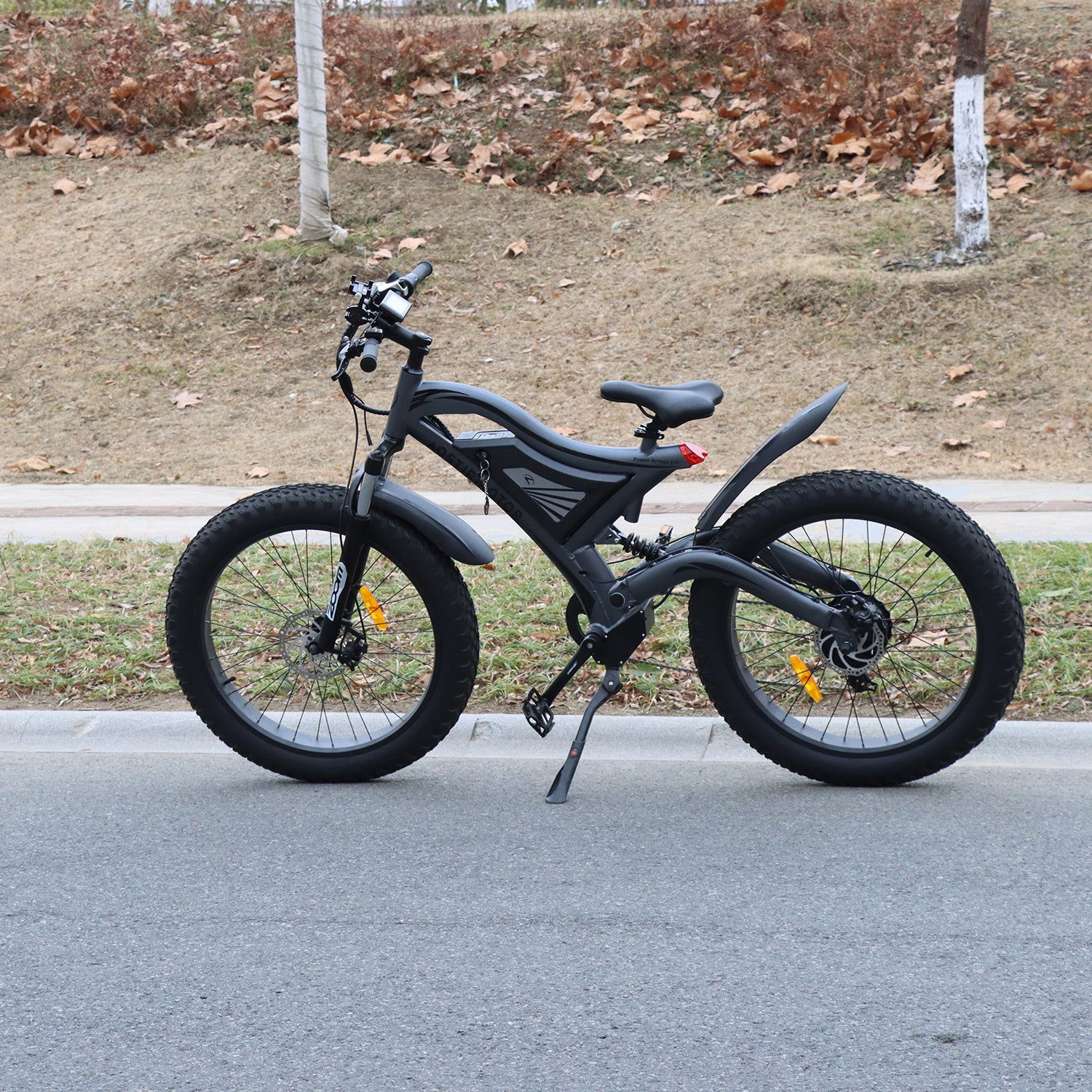 Electric Bike Fat Tire With Removable Lithium Battery for Adults