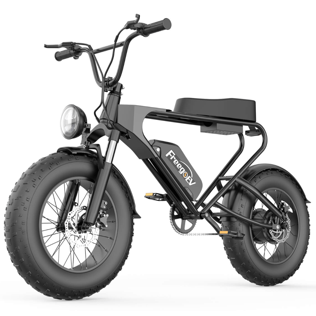 GT200 Off Road Mountain Electric Bike 20' Fat tires 1200W