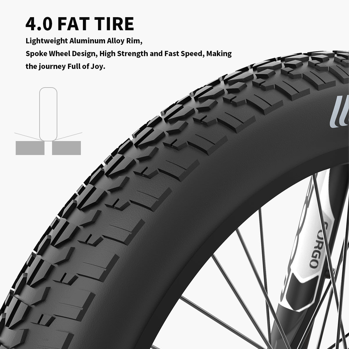 Electric Bike Fat Tire With Removable Lithium Battery for Adults