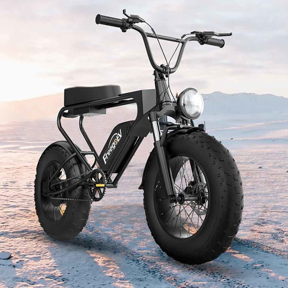 GT200 Off Road Mountain Electric Bike 20' Fat tires 1200W