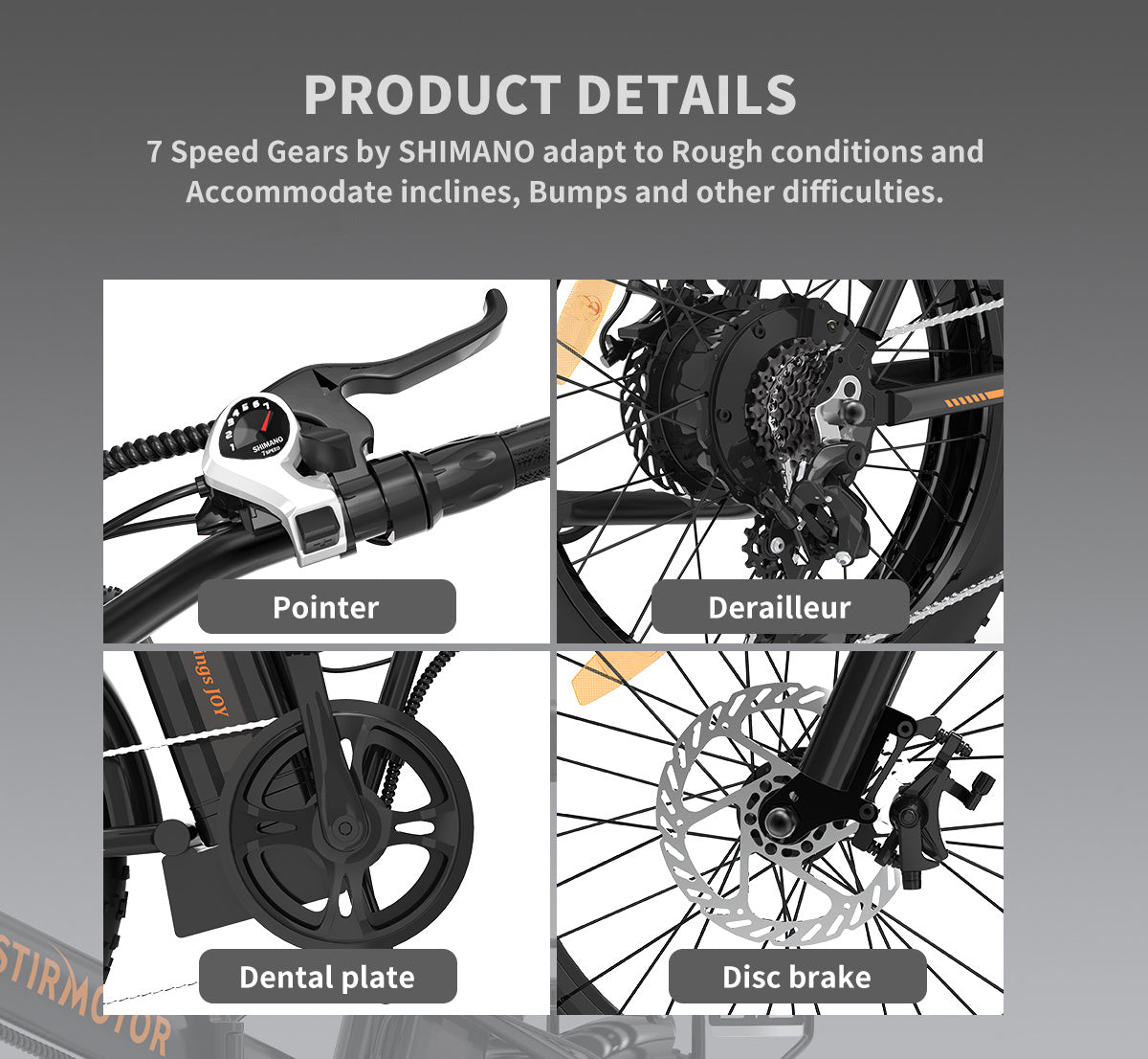 Electric Bike Fat Tire With Removable Lithium Battery for Adults