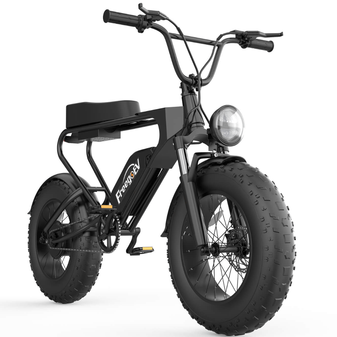 GT200 Off Road Mountain Electric Bike 20' Fat tires 1200W