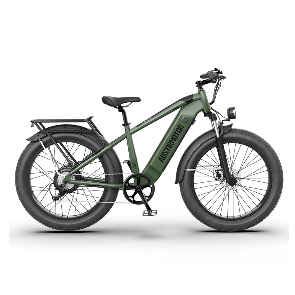 Electric Bike Fat Tire With Removable Lithium Battery for Adults