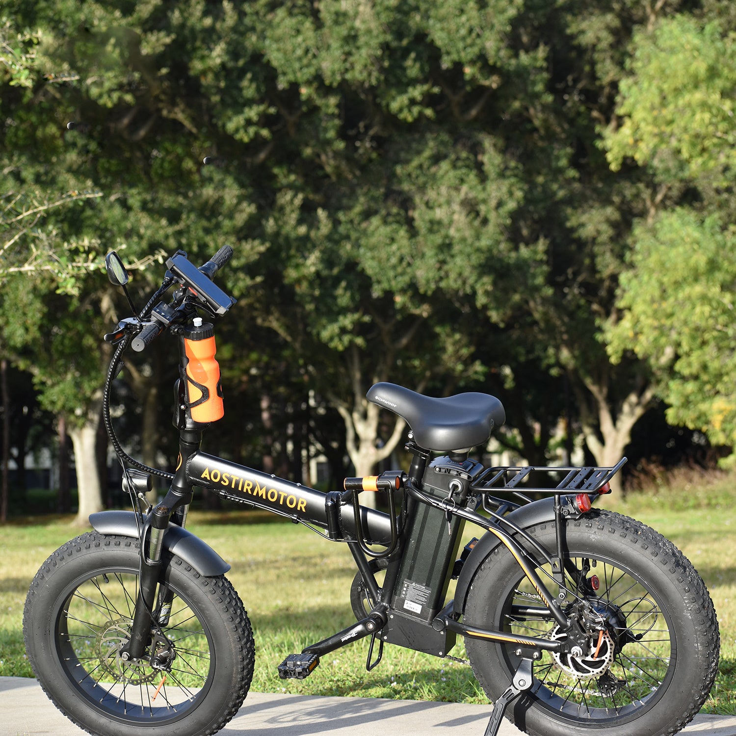 Electric Bike Fat Tire With Removable Lithium Battery for Adults