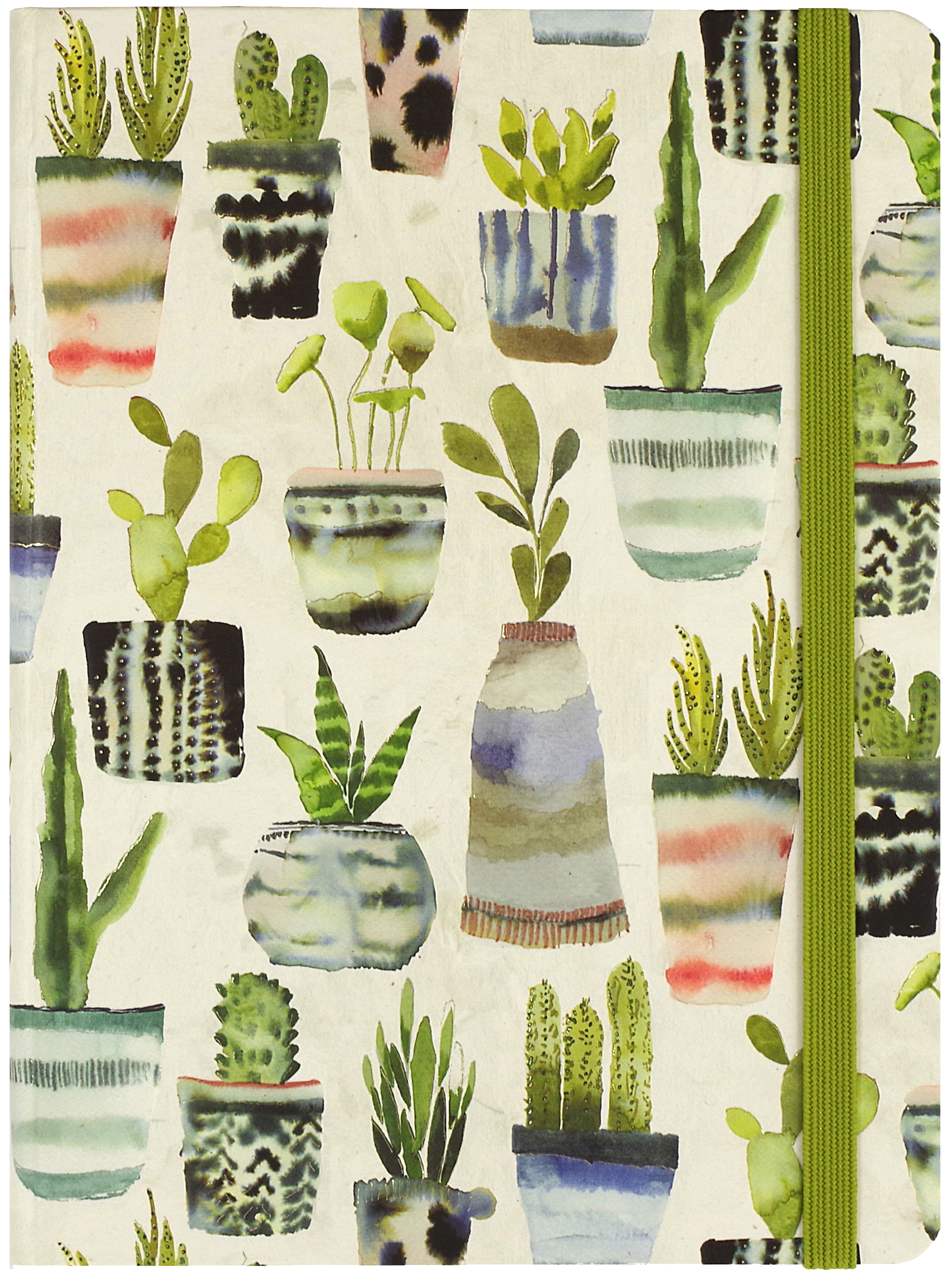 Watercolor Succulents Journal