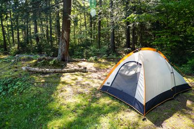 tent for camping