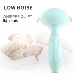 Mini Wand Massager