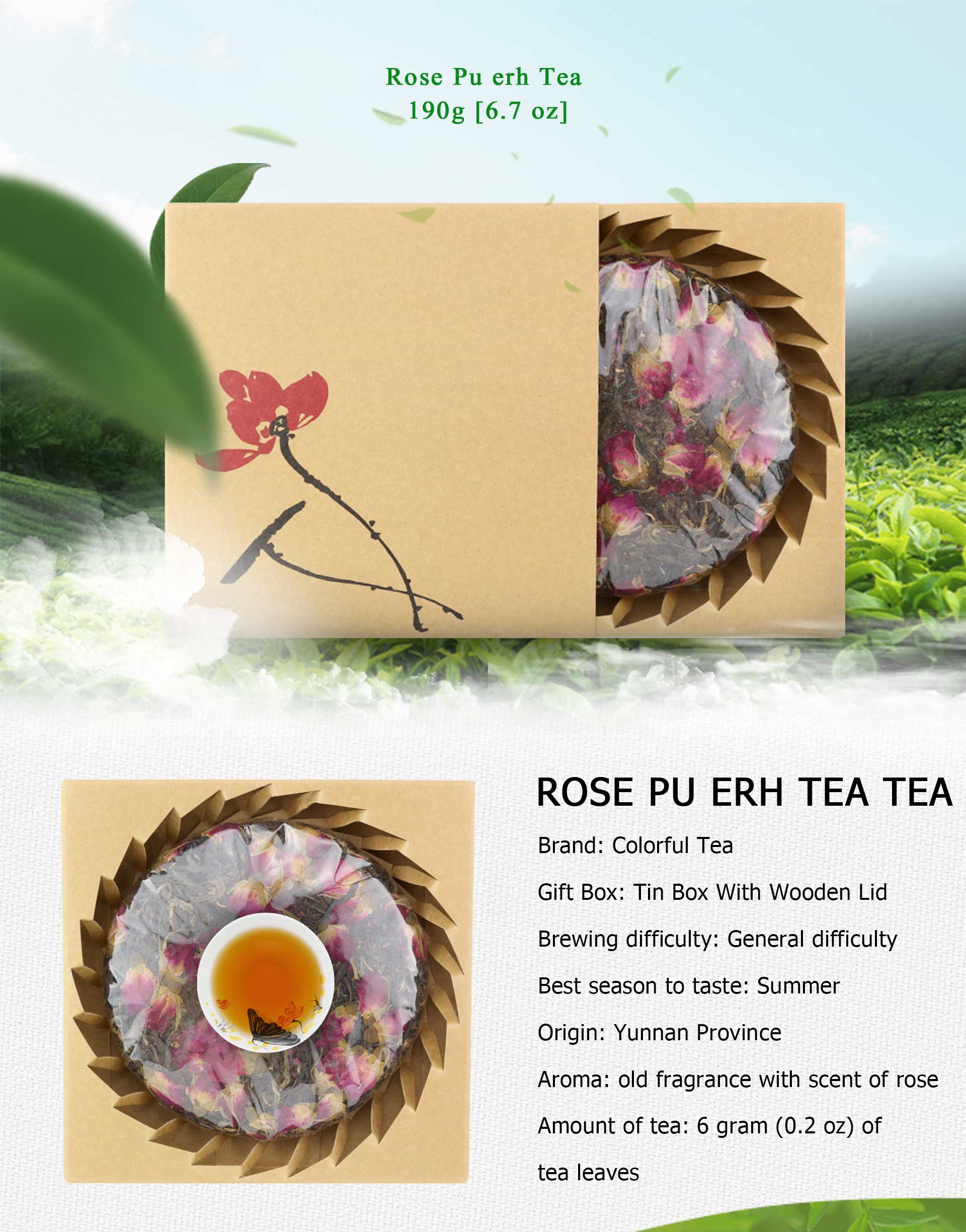 Rose Puerh Tea