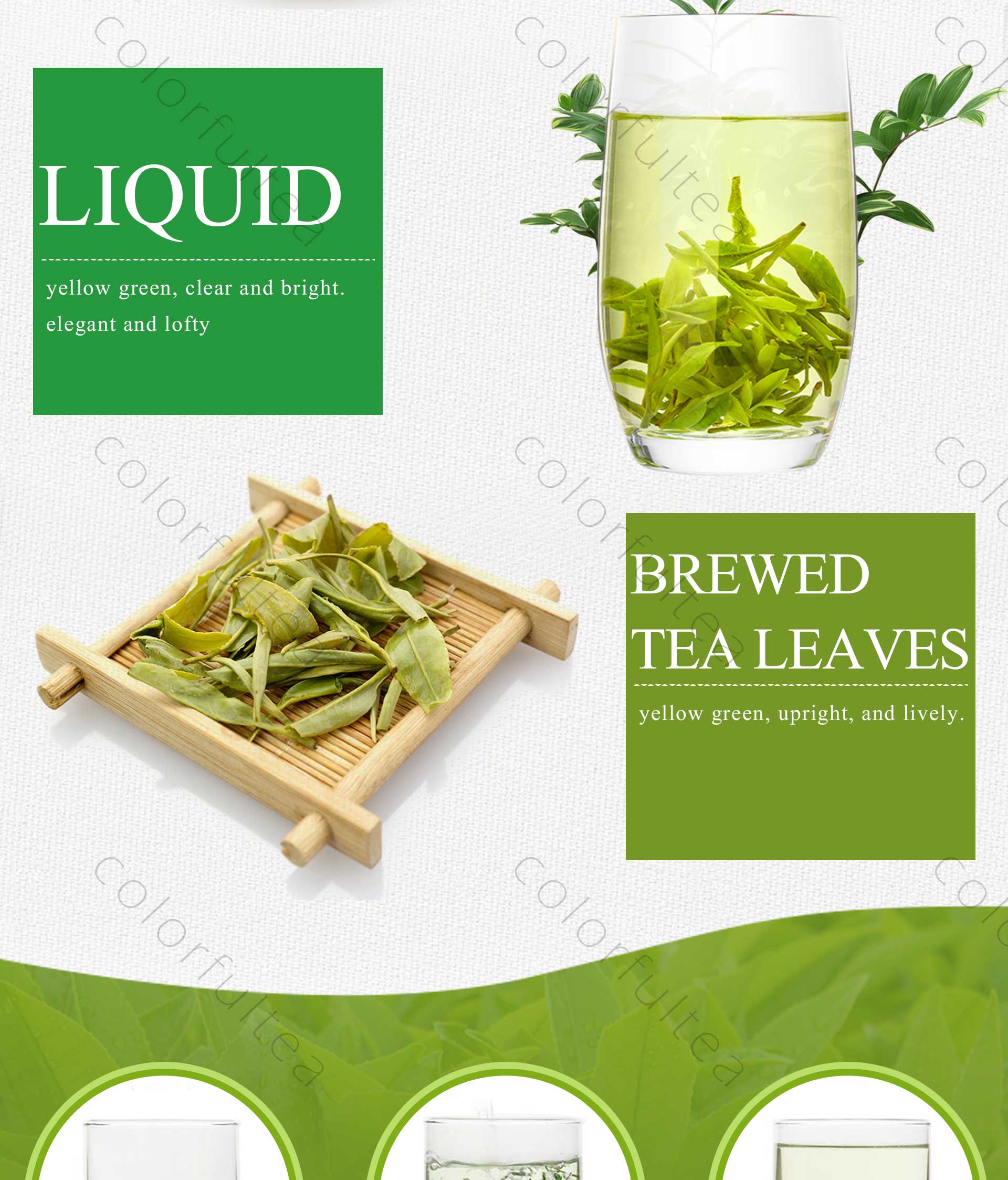 Dragon Well Lung Ching Green Tea