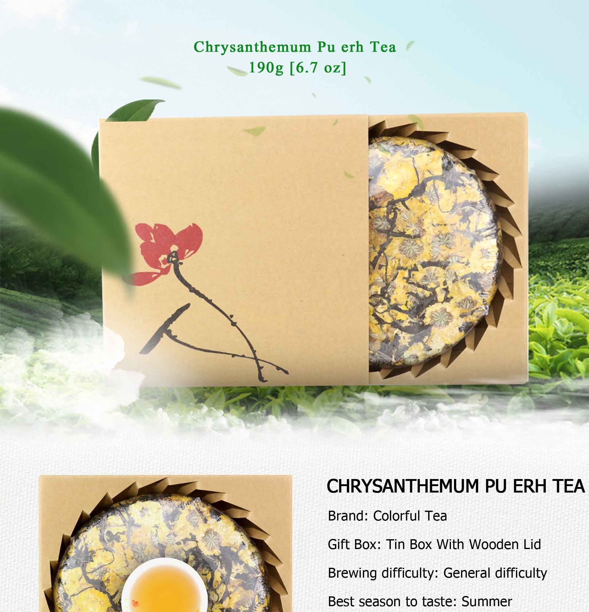 Chrysanthemum Puer Toucha