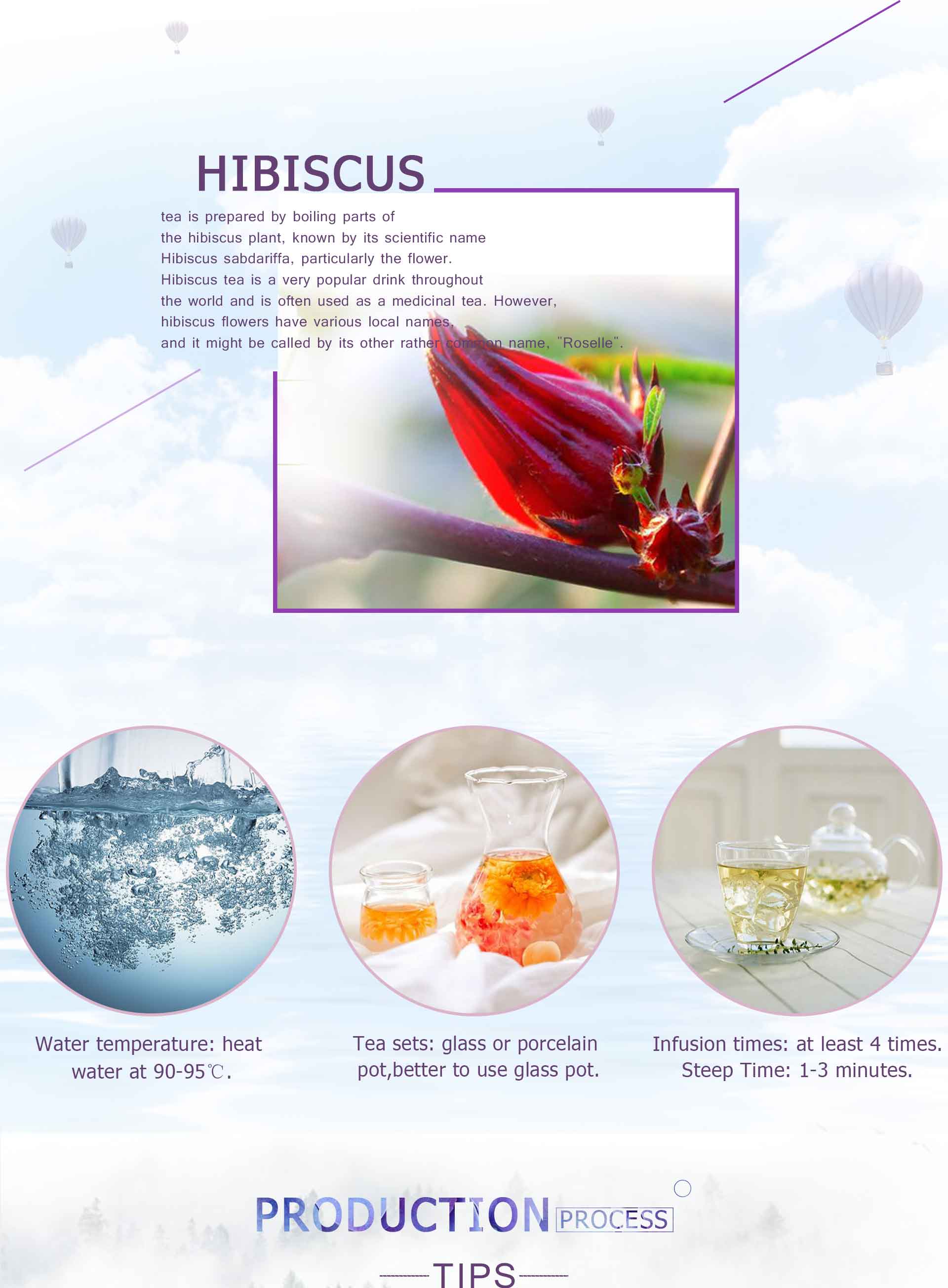 Hibiscus Floral Tea