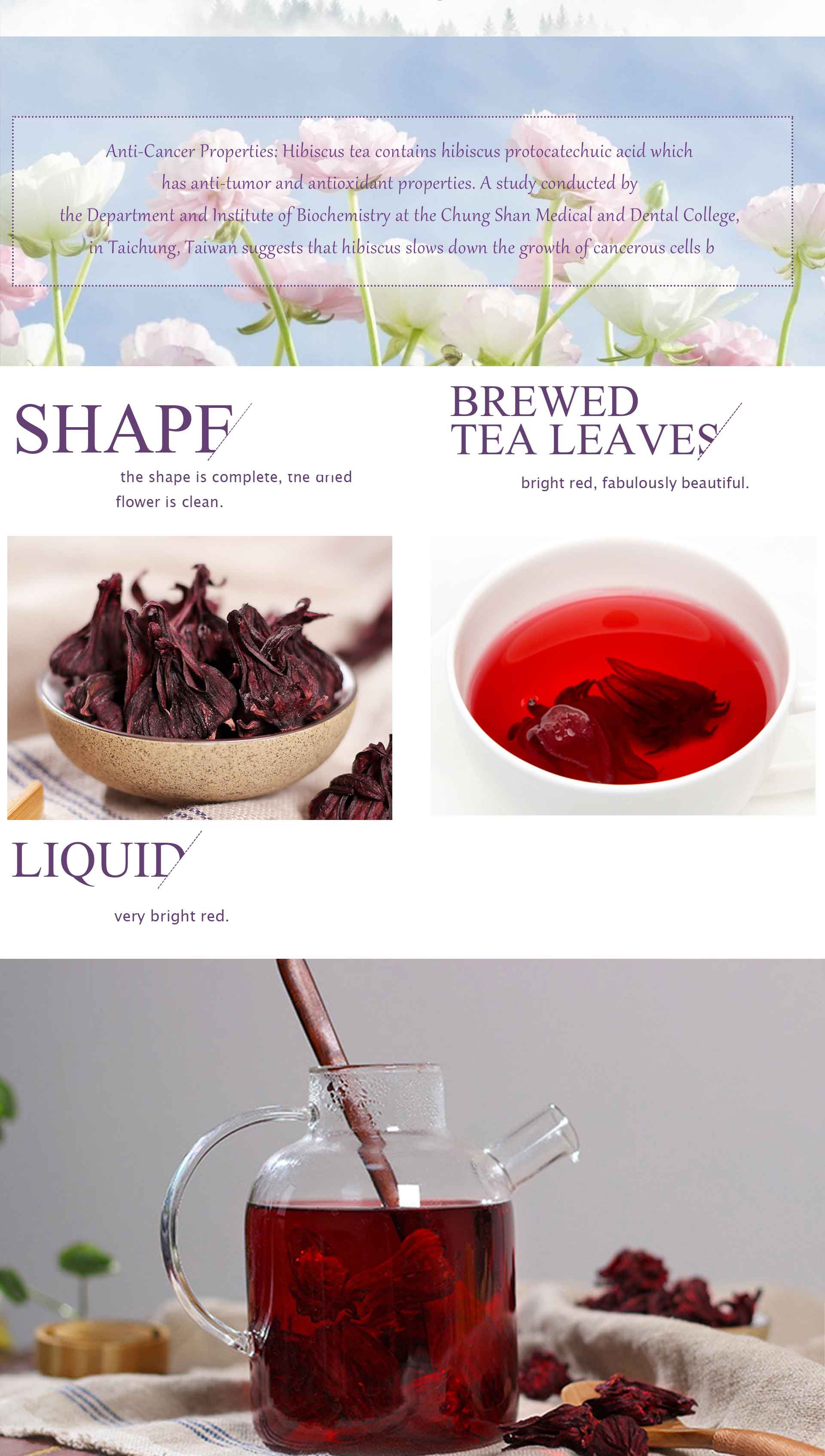 Hibiscus Floral Tea