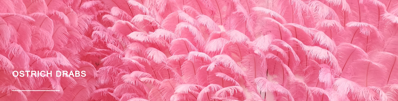 Ostrich Wing Feathers | Ostrich Plumes