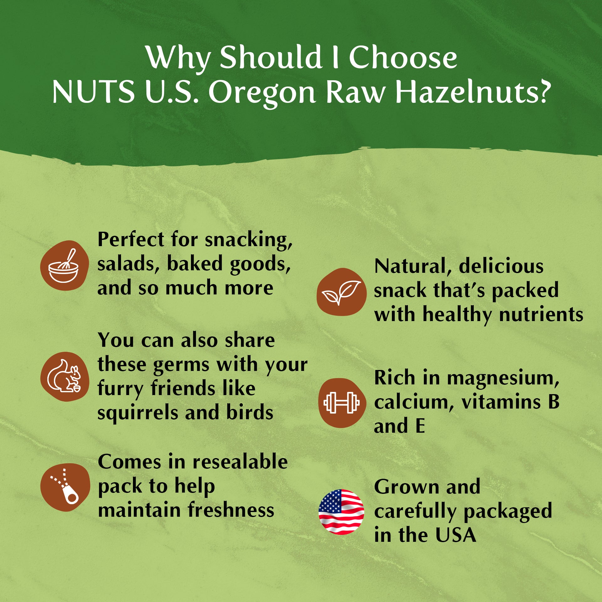 Oregon Raw Hazelnuts (Filberts)