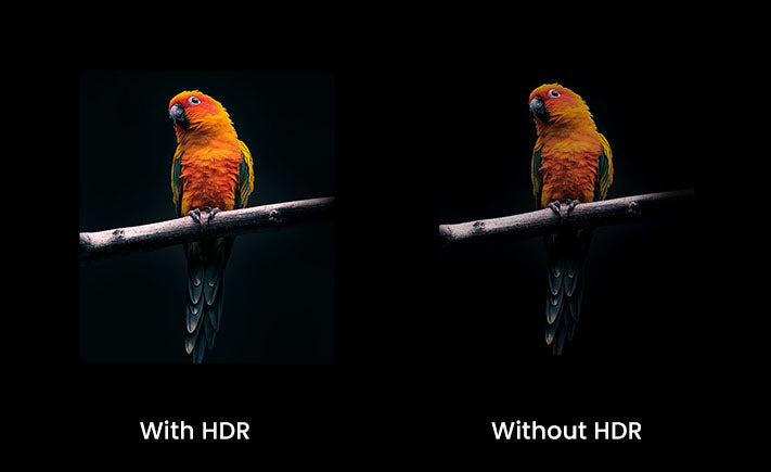 With HDR VS Without HDR