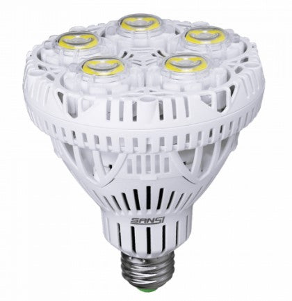 LED light bulbs