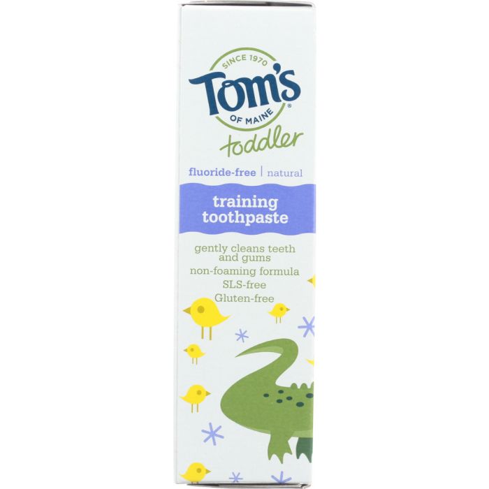 Toddler Fluoride-Free Natural Training Toothpaste Mild Fruit, 1.75 oz