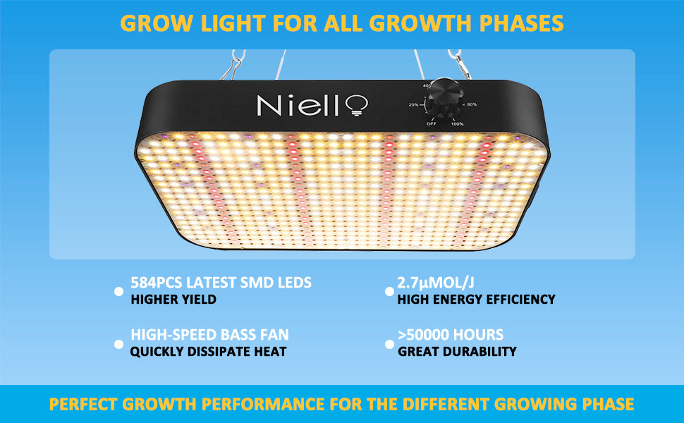 Niello cob led new arrivals