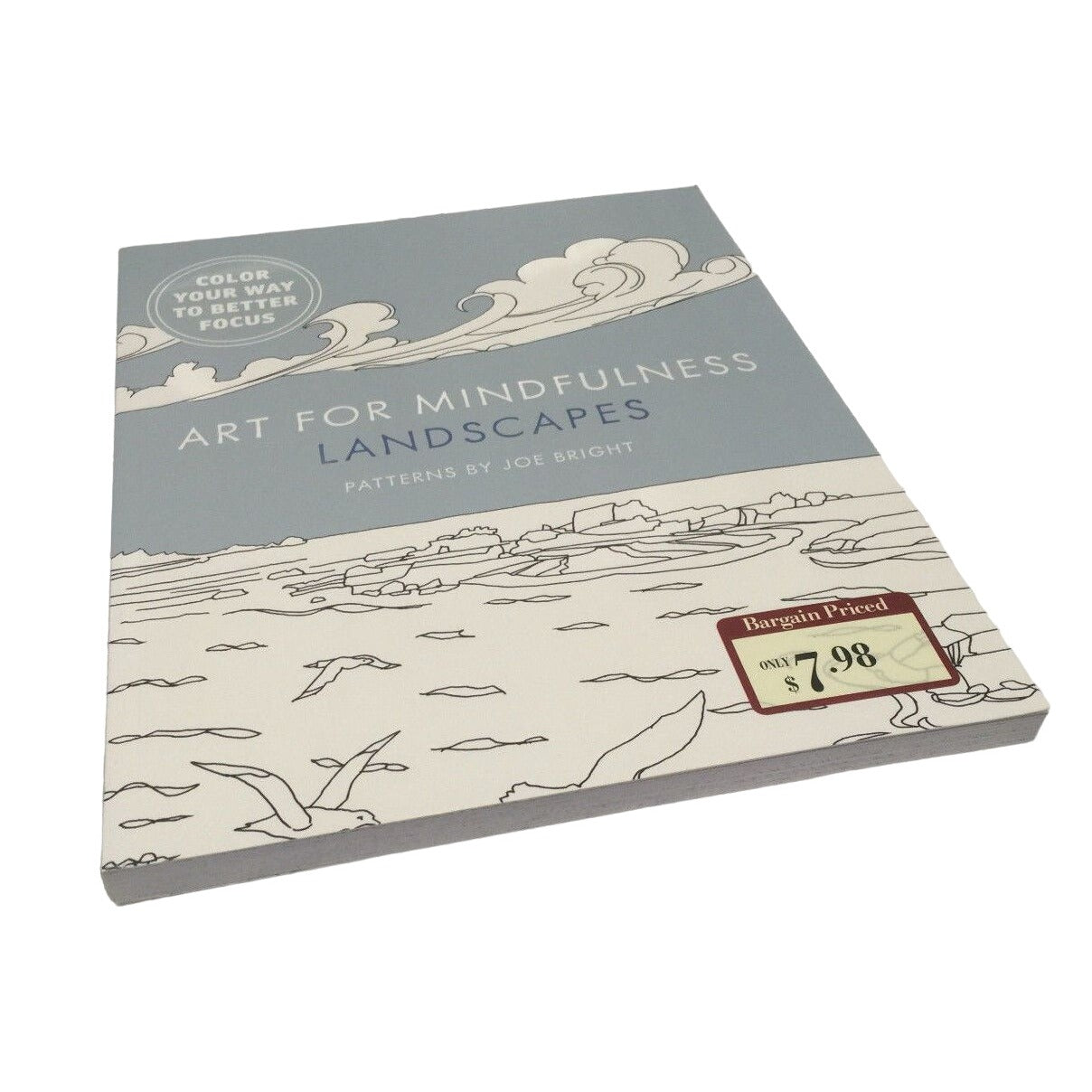 ART FOR MINDFULNESS LANDSCAPES Patterns by Joe Bright Coloring Book