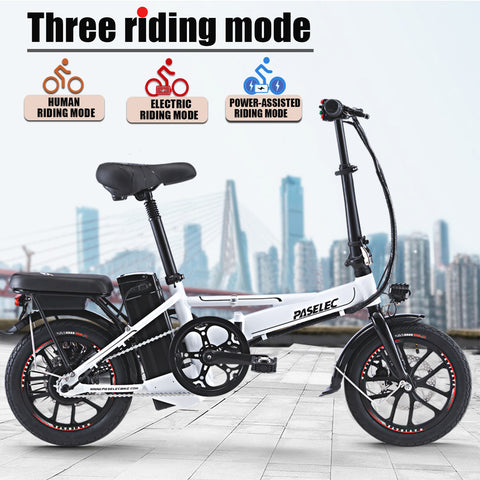 Electric bike for adult
