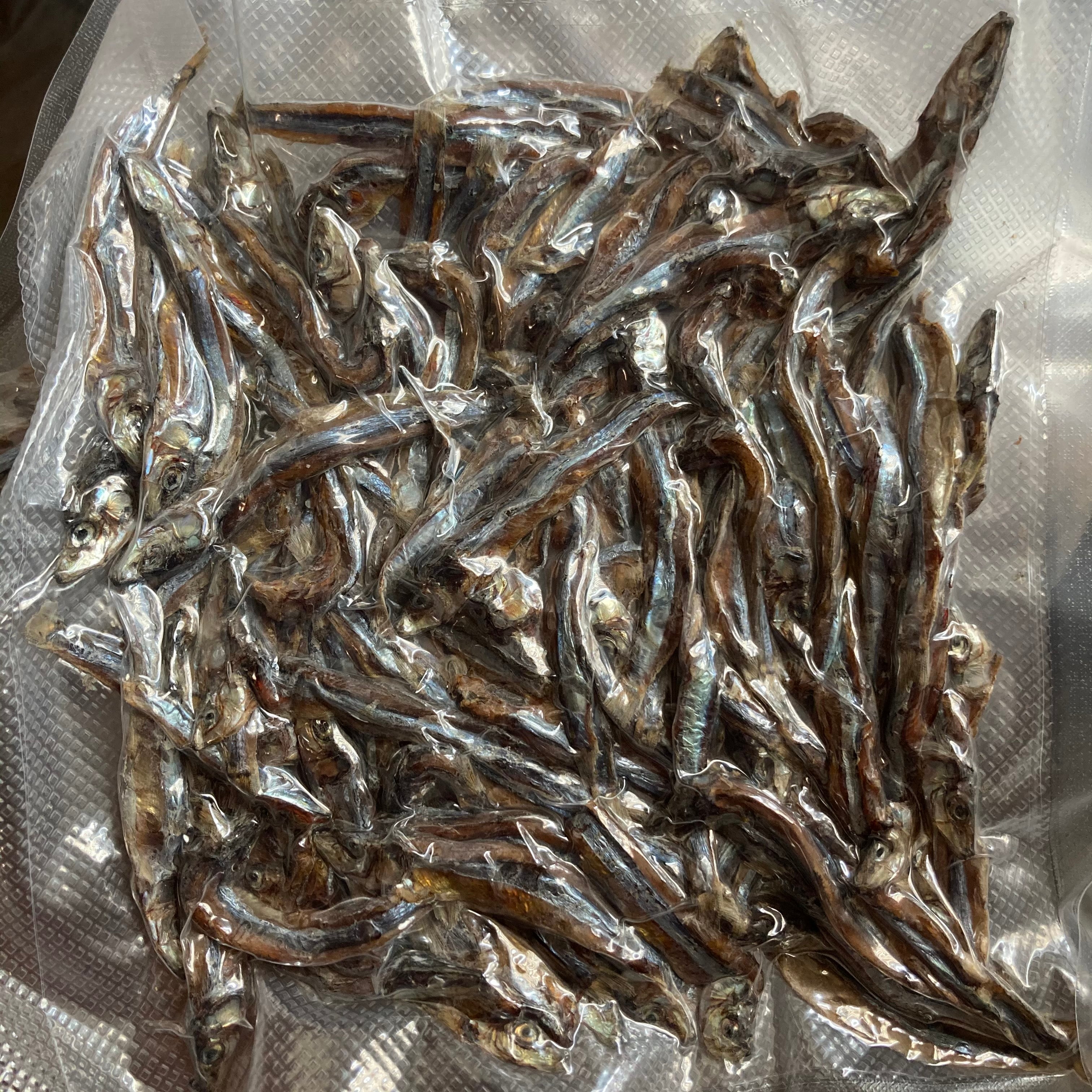  Bantayan Cebu - Bolinao 125g 