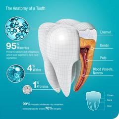 Oralcheeeese | Use Cheeeese sonic electric toothbrush to prevent.