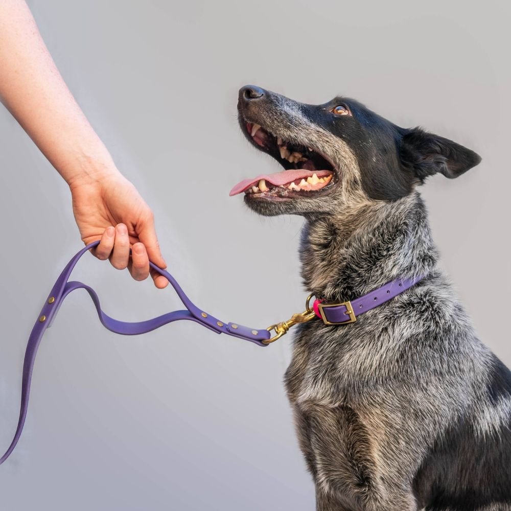 Biothane Dog Leashes (Pink - Reflective)