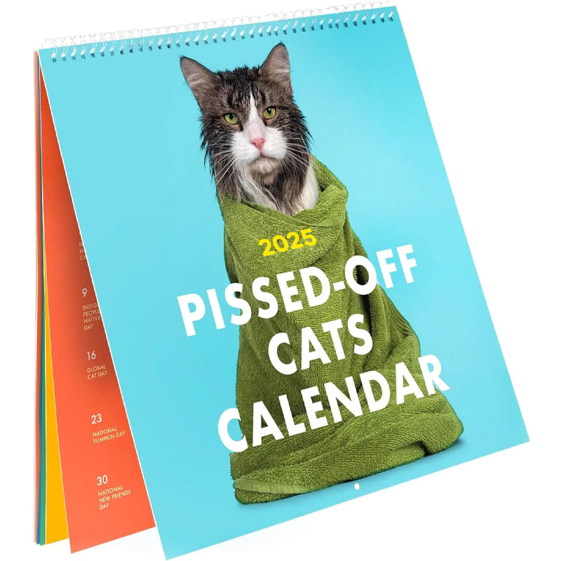 2025 PissedOff Cats Calendar welkinbirduk