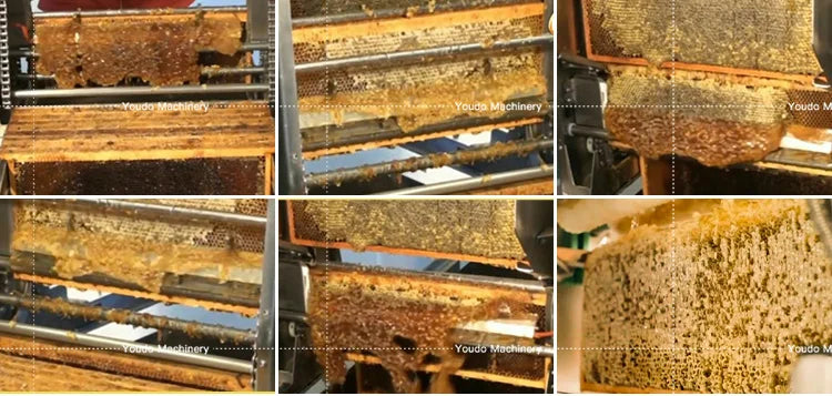 Automatic Honey Extraction I Honeycomb Uncapping Machine & Frame Uncapper I Model MUDGP200