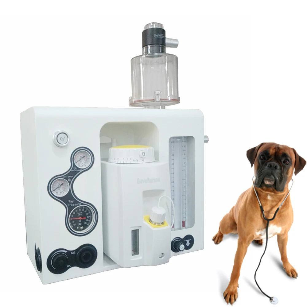 Enhance Veterinary Care with Anaesthesia Machine & Accessories: Explore Our Comprehensive Selection I Model MW2334