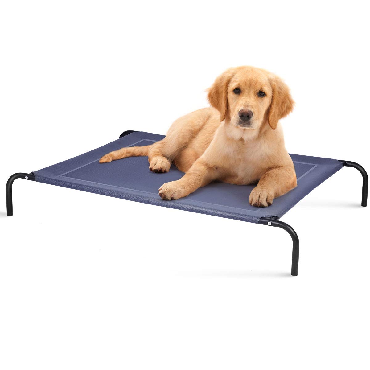 Giantex Elevated Pet Bed for Medium Large Dogs, Keep Pets Cool