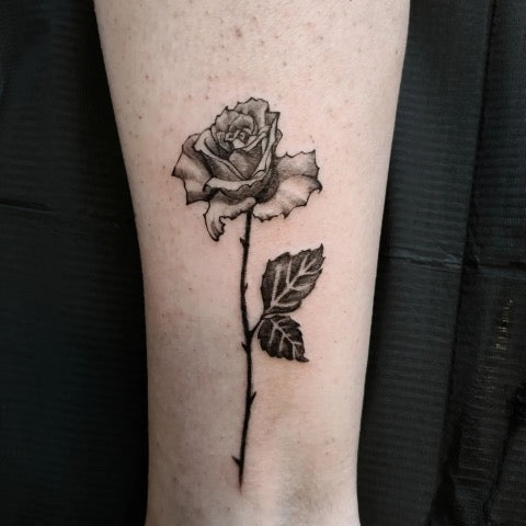 Black Rose Tattoo