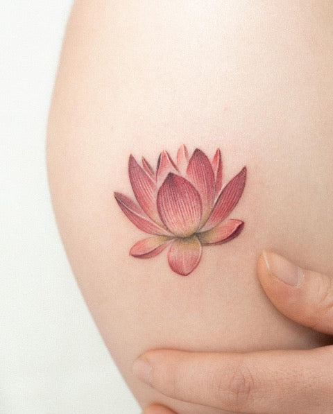 Realistic Lotus Flower Tattoo