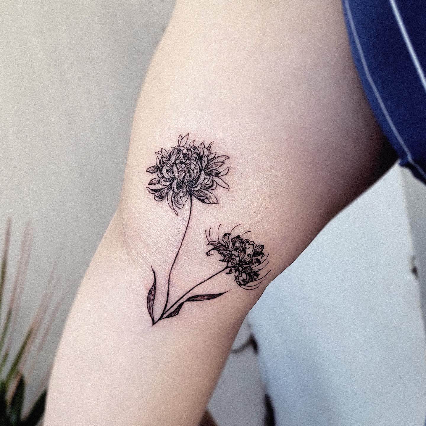 Light Peach Chrysanthemum Tattoo Design - Tattapic®