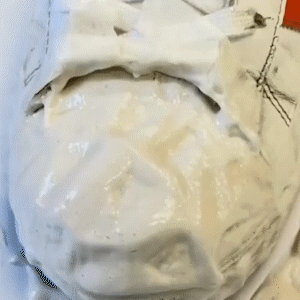 Limpa Tênis North Moon - Branco Renovado