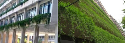 Discussion of different forms of three-dimensional greening and their irrigation methods in gardening