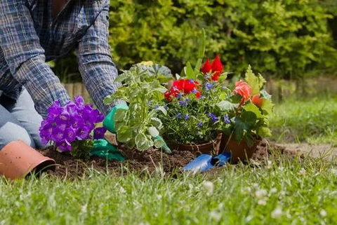 Gardening product knowledge essentials