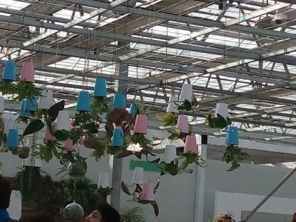 Discussion of different forms of three-dimensional greening and their irrigation methods in gardening