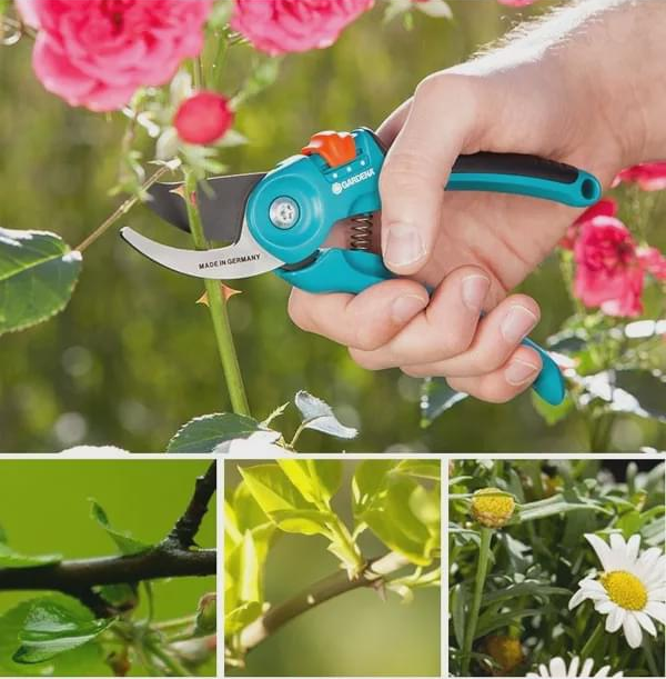 Garden maintenance, you may need these garden tools