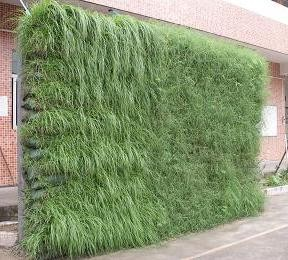 Discussion of different forms of three-dimensional greening and their irrigation methods in gardening