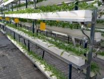 Discussion of different forms of three-dimensional greening and their irrigation methods in gardening