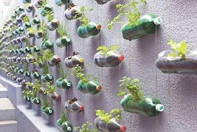 Discussion of different forms of three-dimensional greening and their irrigation methods in gardening
