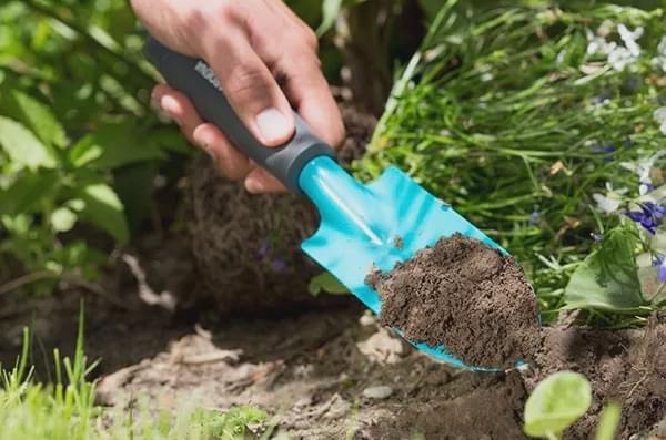 Garden maintenance, you may need these garden tools