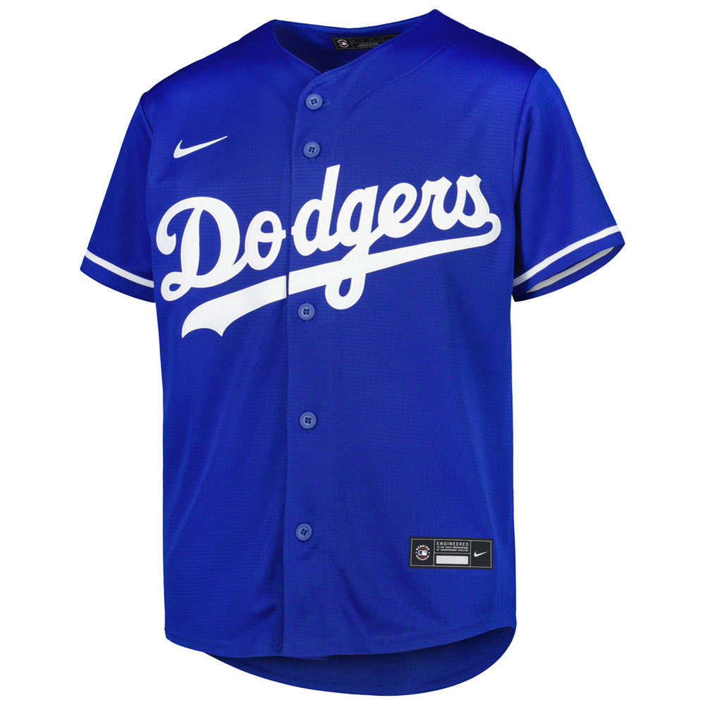 Youth Los Angeles Dodgers Freddie Freeman Alternate Player Jersey - Royal