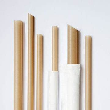 CompostableWrappedSugarcaneStraws_2_360x.jpg?v=1662524219