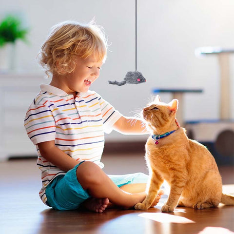 Cat Toy Retractable Hanging Door Type Funny Stick Cat Scratching Rope Mouse Cat Toy Funny Cat Stick Pet Supplies Dropshipping